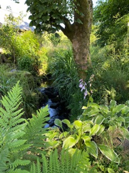 Higher Bridge Clough House